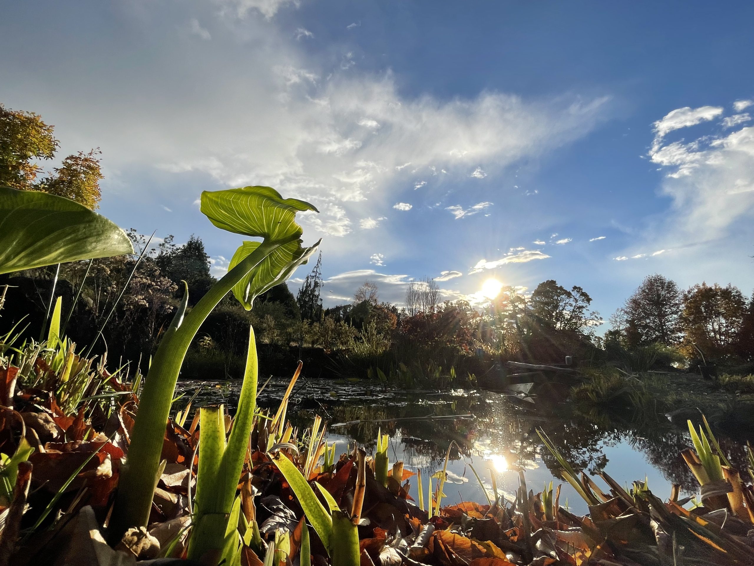 What to do in Silverton, Oregon